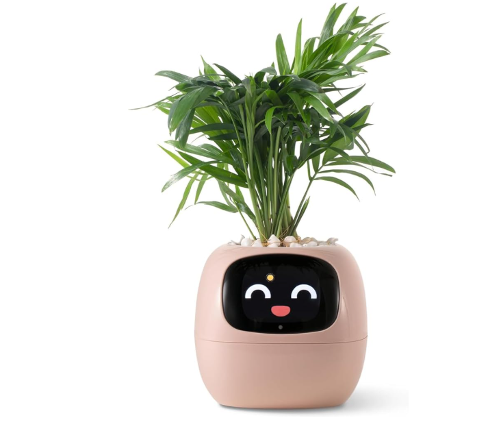 Smart Planter Endless Fun Over 49 Rich Expressions 7 Smart Sensors And AI Chips Make Raising Plants Easy And Fun