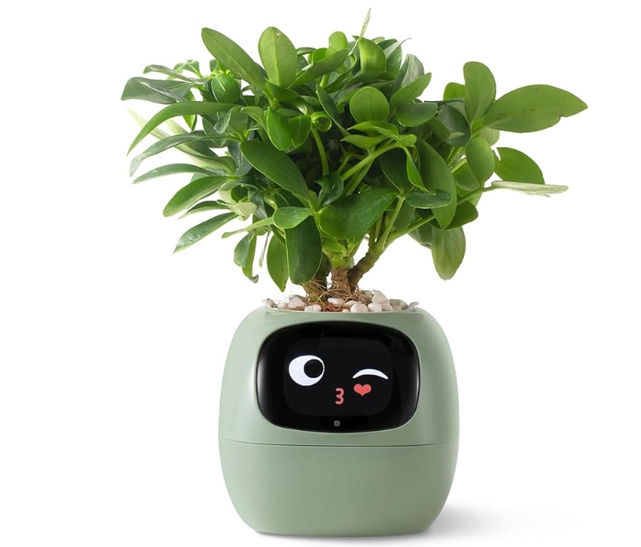 Smart Planter Endless Fun Over 49 Rich Expressions 7 Smart Sensors And AI Chips Make Raising Plants Easy And Fun